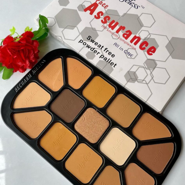 Becharm ageless 15 in 1 powder palette